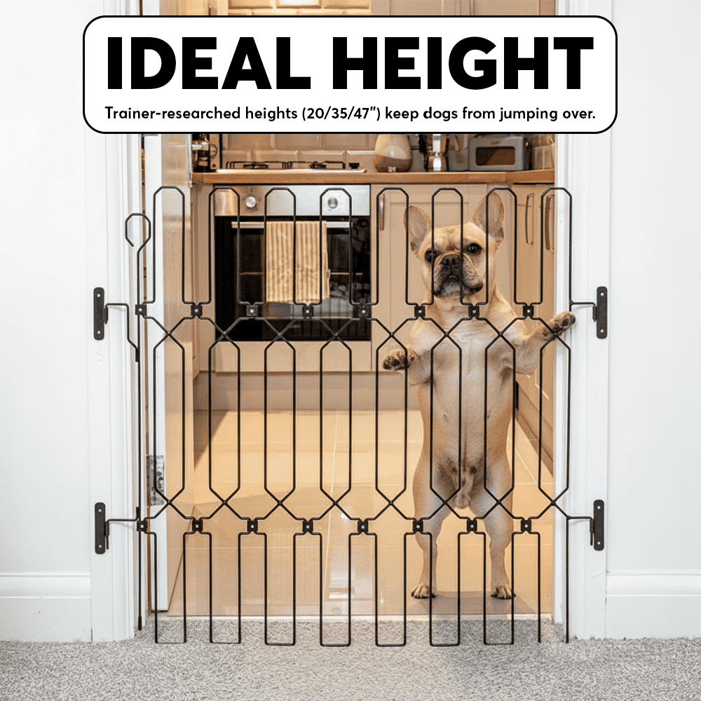 🛒Last Day 69% Off - Dog Safety Gate 🐕🦮